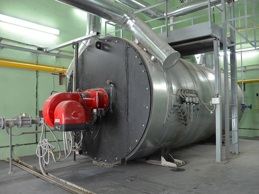 Fuel (Gas) Steam Boiler