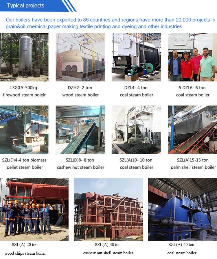 China Manufacturer Price Dzl Dzh Szl 1 to 40 Ton Automatic Coal Biomass Wood Pellet Chips Log Firewood Fired Chain Grate Stoker Industrial Steam Boiler for Sale