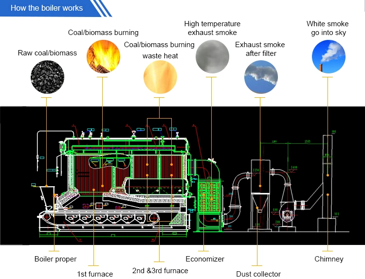 7000 Kw Organic Heat Carrier Oil Coal Boiler Price