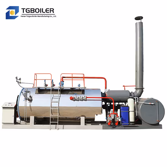 Hot Sale Low Pollution Dual Fuel Oil Gas Heavy Oil Fired 5ton Steam Boiler Prices