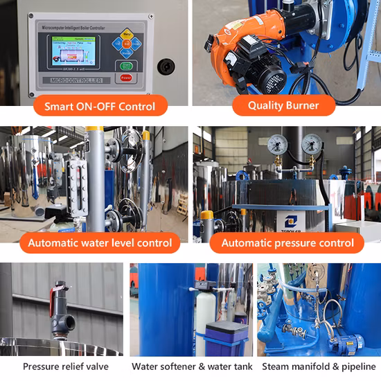 Factory Direct Sales 300 Kg Hr Steam Boiler Gas with Price