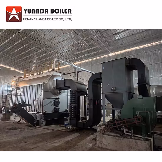 Dzl Model 0.7 1.4 2.8 4.2 5.6 7 10 14 MW Coal Biomass Wood Firewood Fired Central Heating Hot Water Boiler for Greenhouse Sport Hall School Community Building